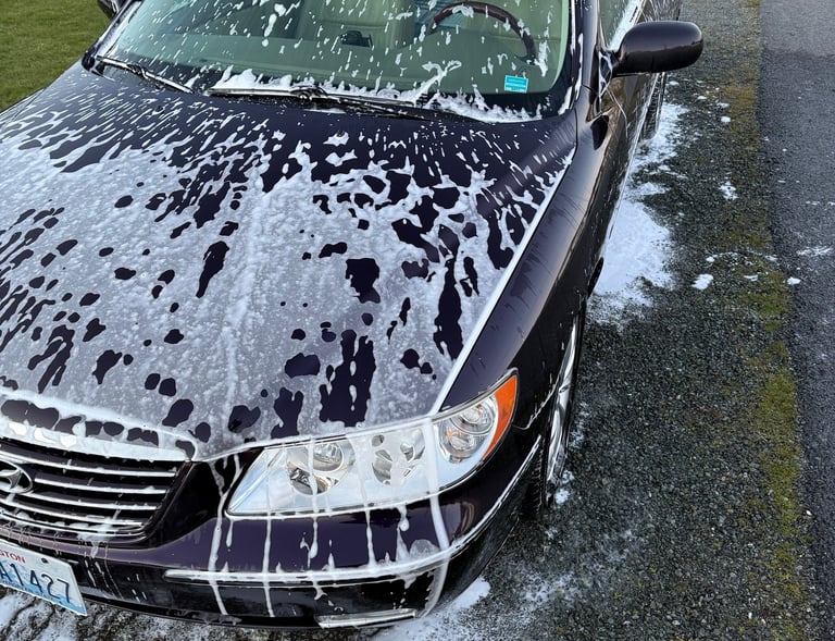 soapy purple car hood