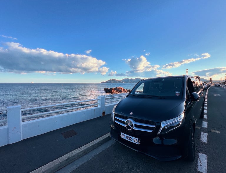 Chauffeur privé VIP