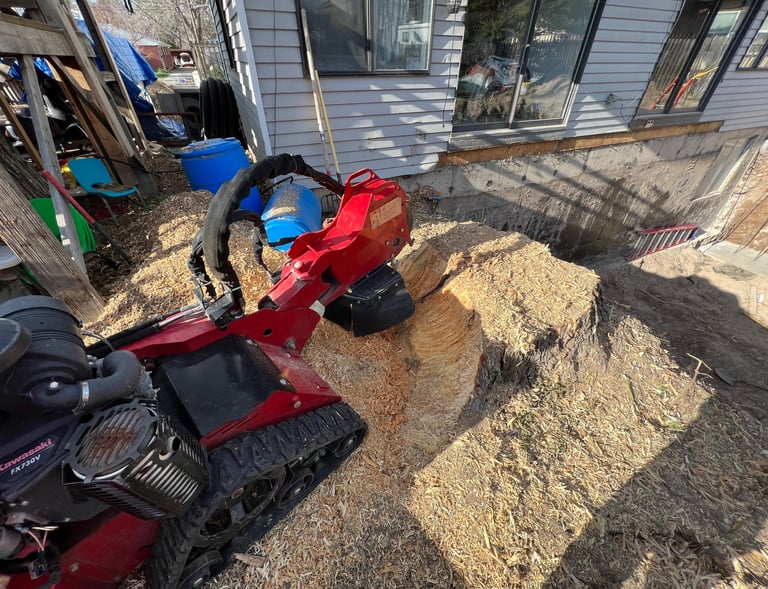 Tree stump removal using a tree stump grinder