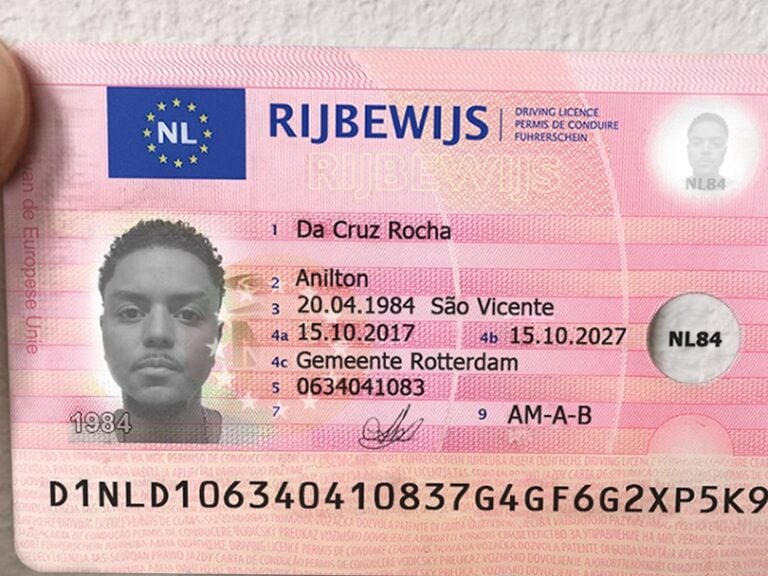 rijbewijsbewijs.nl