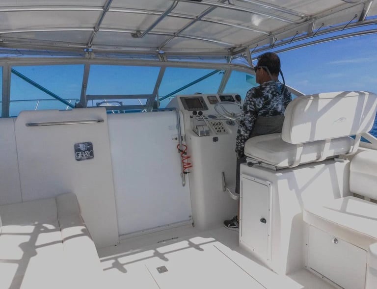 cabo 31 express sport fish yacht deck