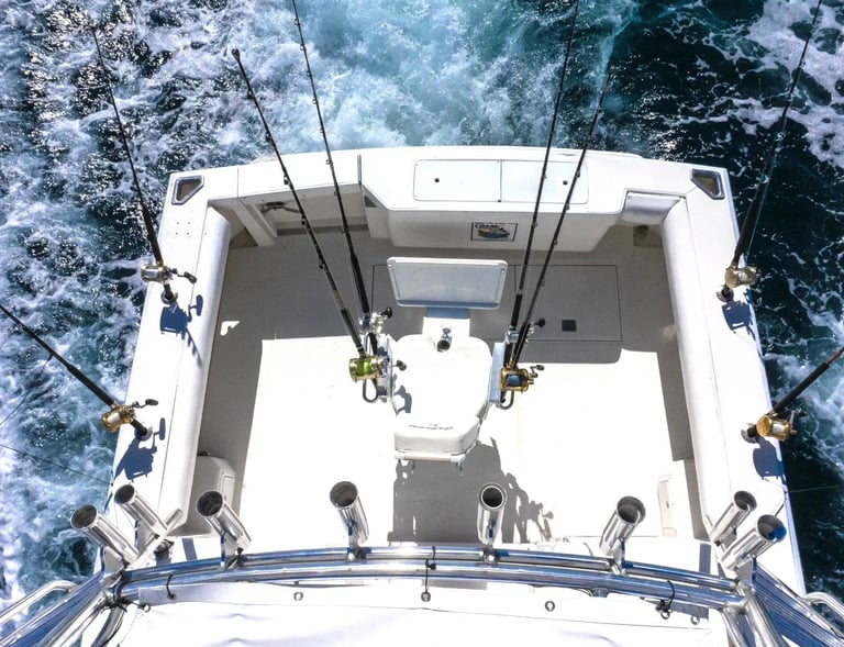 cabo 31 express sport fish yacht fishing gear