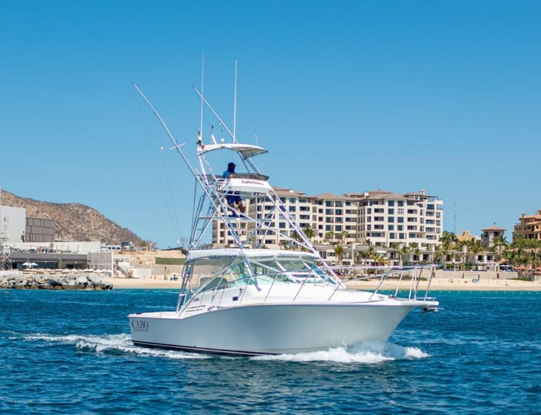 cabo 31 express sport fish yacht fishing