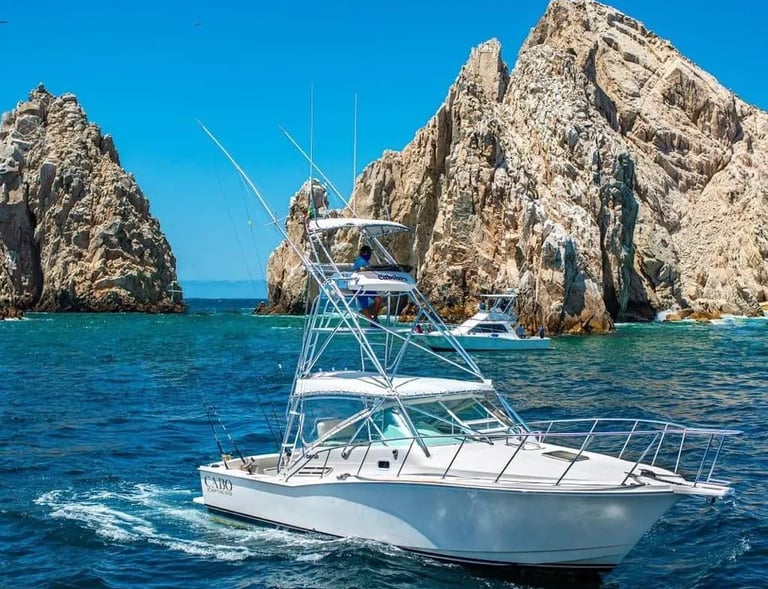 cabo 31 express sport fish yacht