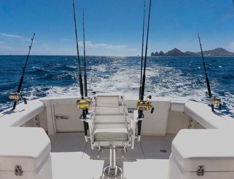 cabo 31 express sport fish yacht rods