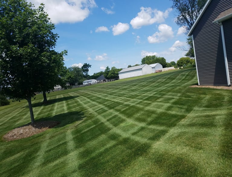 Professional lawn care