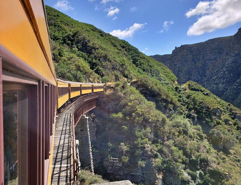 Taking the Taieri Gorge Railway in New Zealand