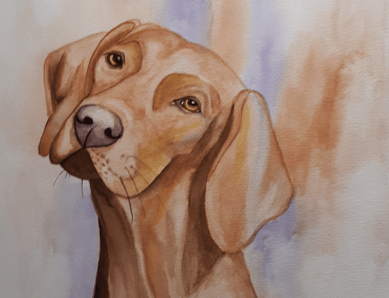 wawtercolor painting of a Vizla dog