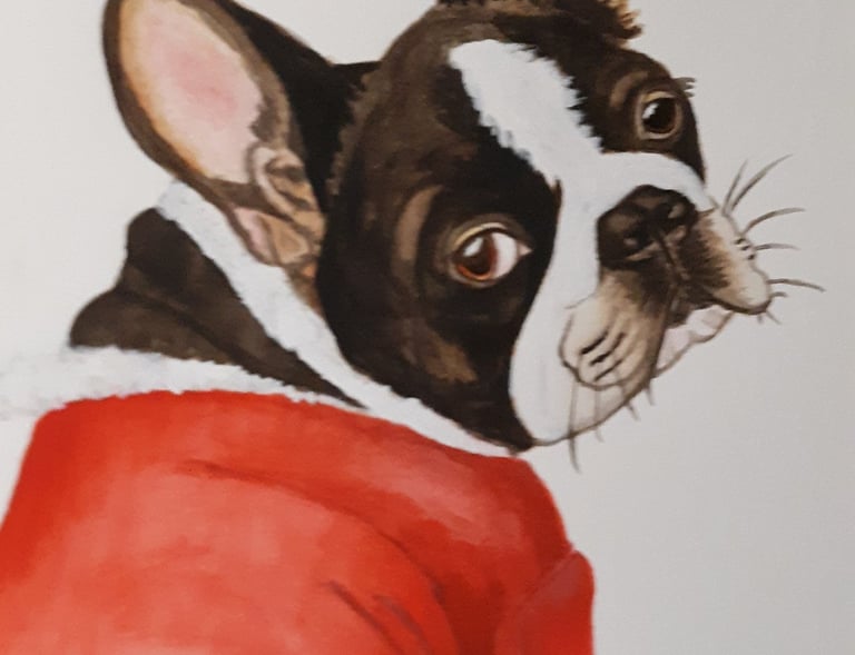 watercolor painting of a French Bulldog wearing a red Santa outfit looking over his shoulder