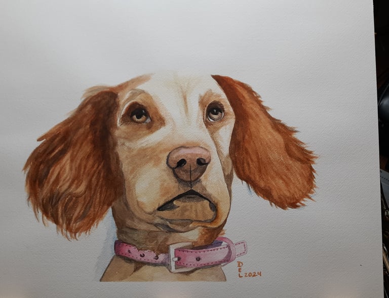 watercolor painting of a spaniel wearing a pink collar