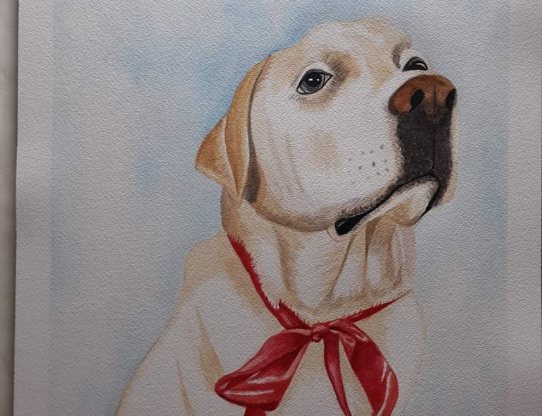 watercolor painting of a yellow labrador retriever wearing a big red bow around its neck