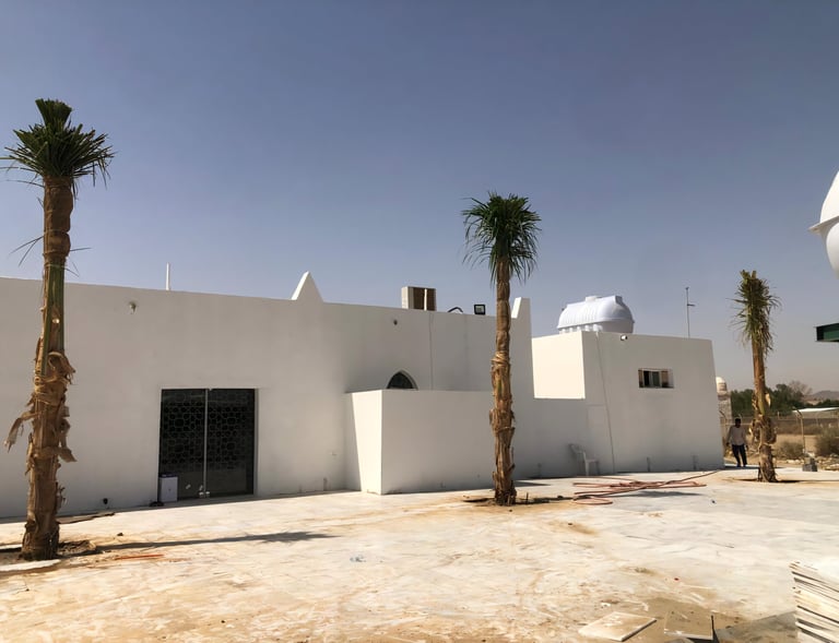 توريد نخيل ملوكي في الأحساء