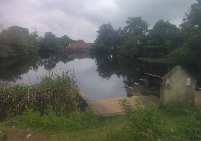 pond