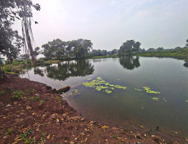 pond