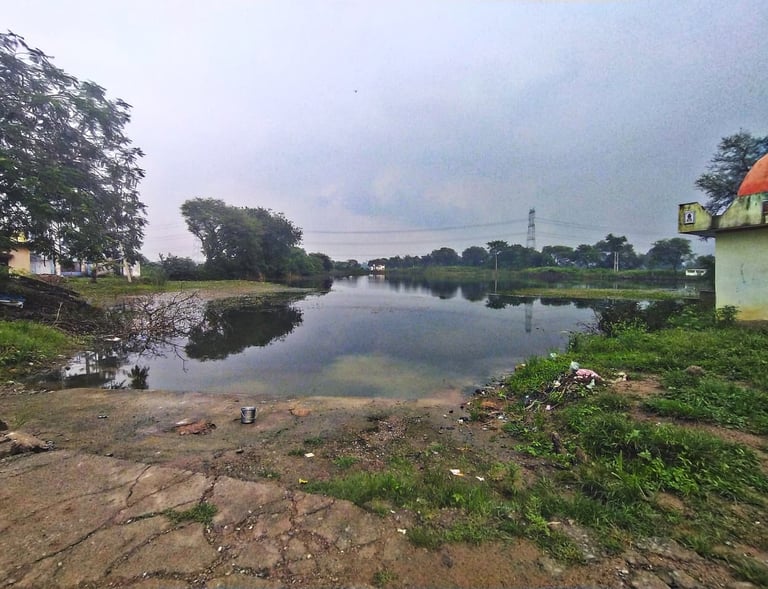 pond