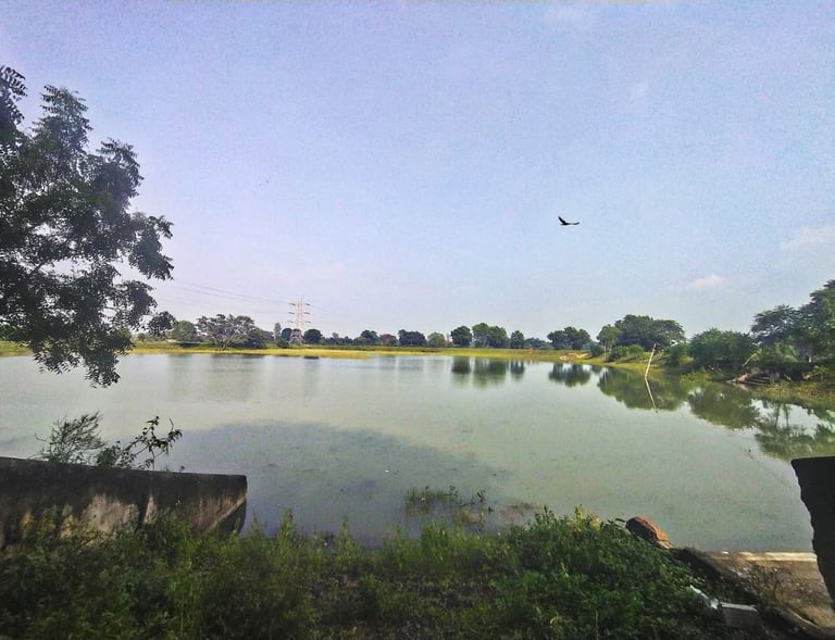 pond