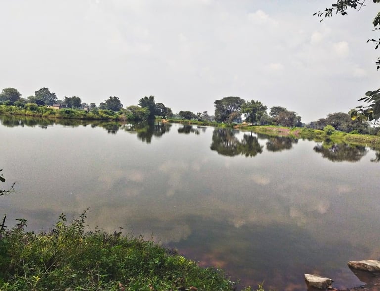 pond