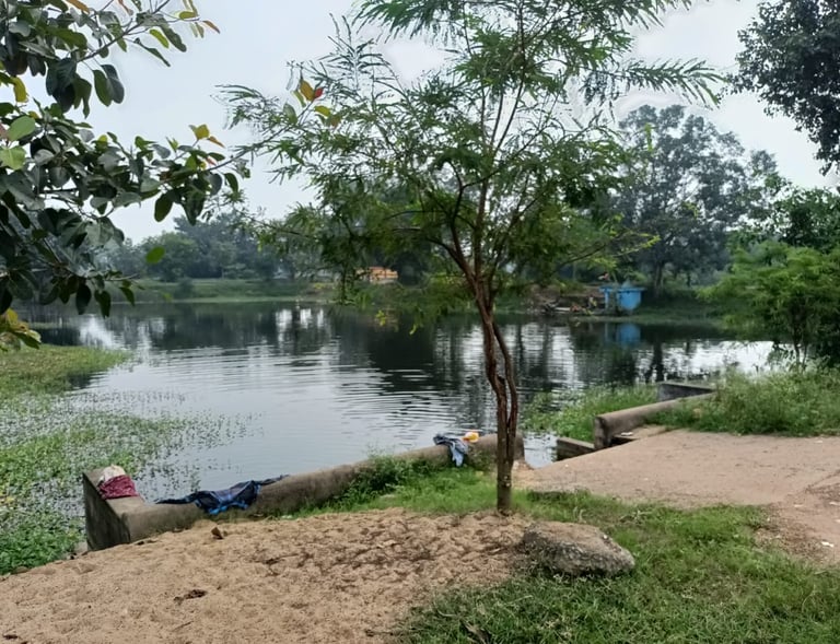 pond