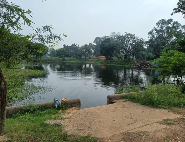 pond