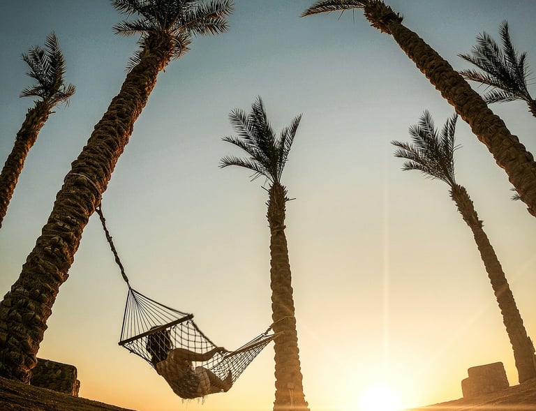 Person relaxing in a hammock between palm trees at sunset in Egypt.