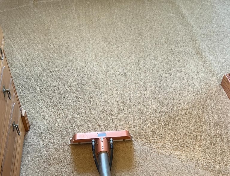 Steam carpet cleaning removing dirt from fibers