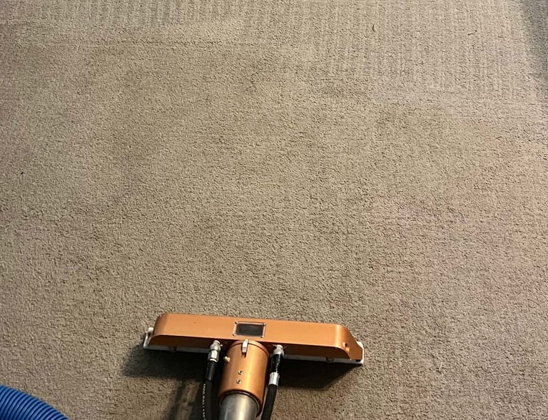 Professional carpet cleaning service in Denver CO