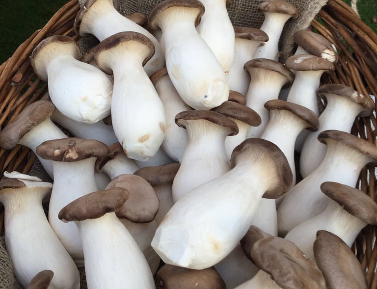 Big mushrooms - very tasty