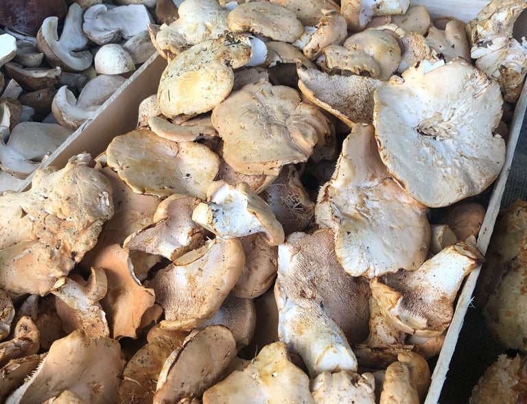 Beige mushrooms. Mmmmmm nice.