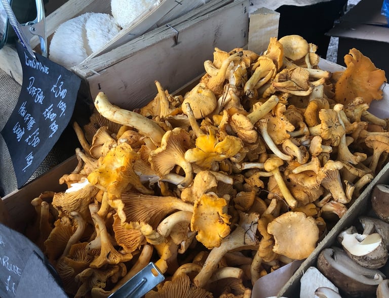 Orangey mushrooms