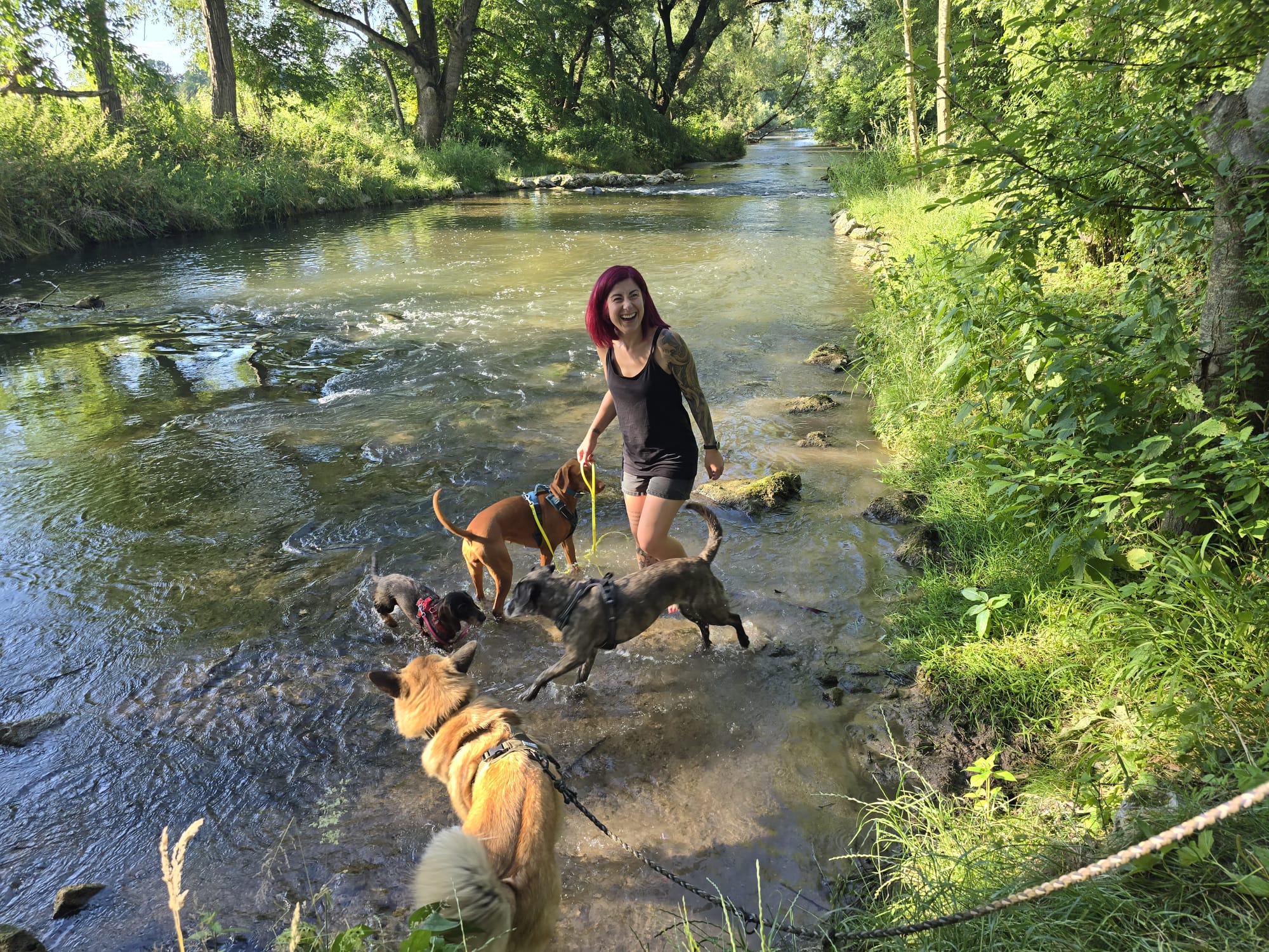 Dogz' Erding glückliche Hunde
