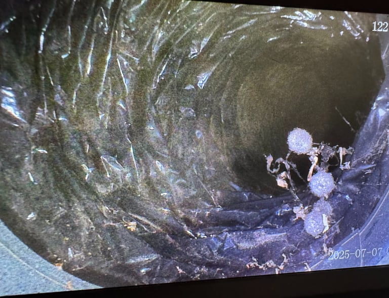 Signs you need your air ducts cleaned spider eggs