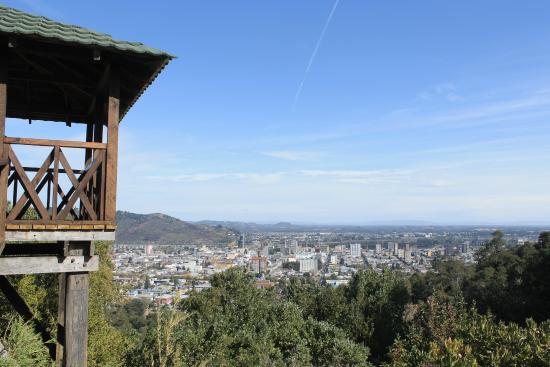 VISTA DE TEMUCO DESDE CERRO ÑIELOL