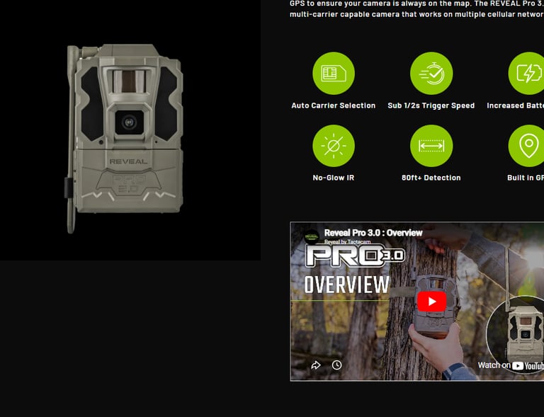 Product listing with product highlights by Efraim Dunner