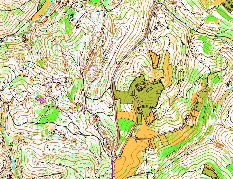 Primjer šumske karte 