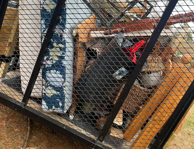 Pat's Junk Removal Services in Millis & MetroWest MA
