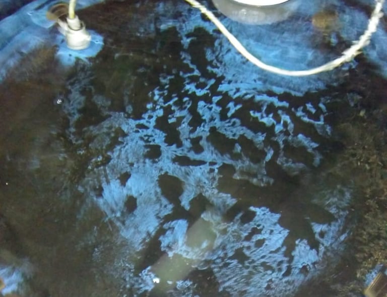 limpeza de caixa de água