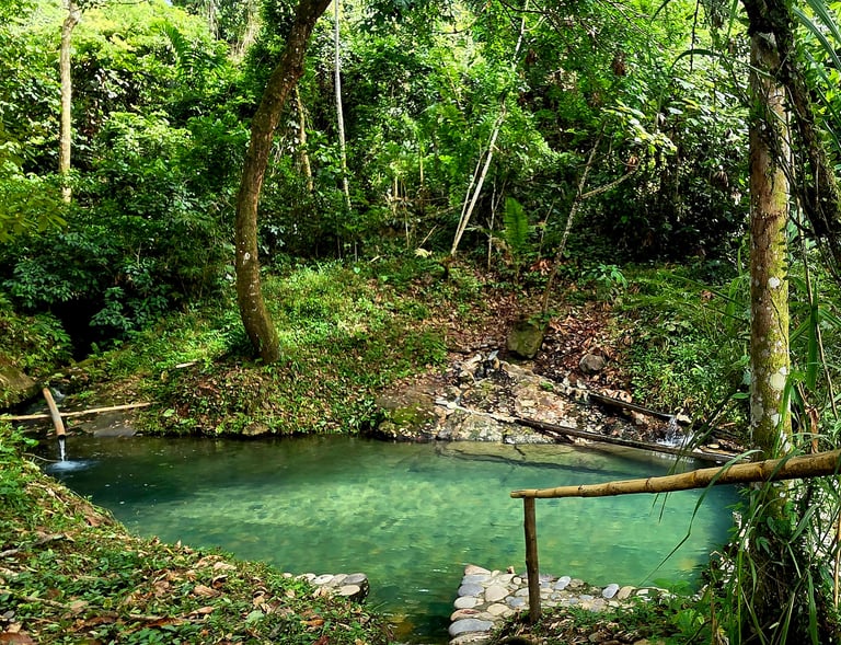 Hot Springs Shintuya