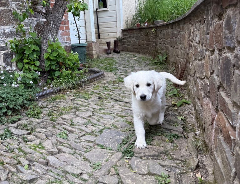 Gioia not wanting to go inside