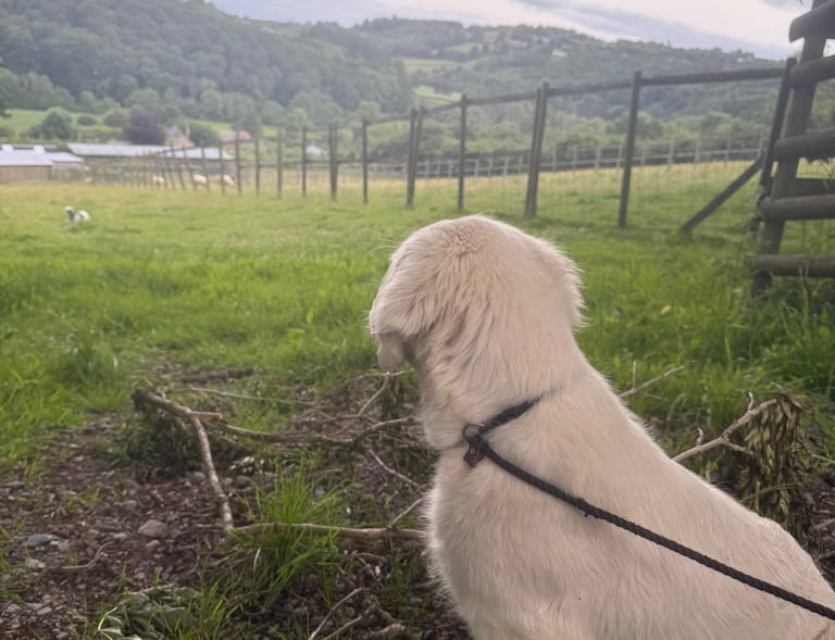 Massimo looking down on the valley