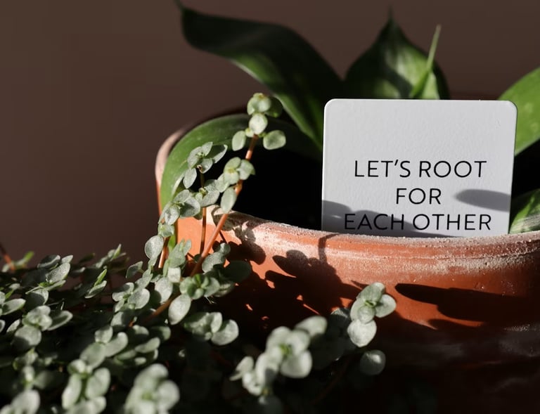 plant in pot with slogan let’s root for each other