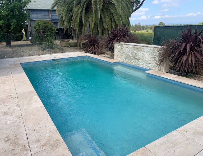 salt chlorinator. clean and safe pool with new poo pump 