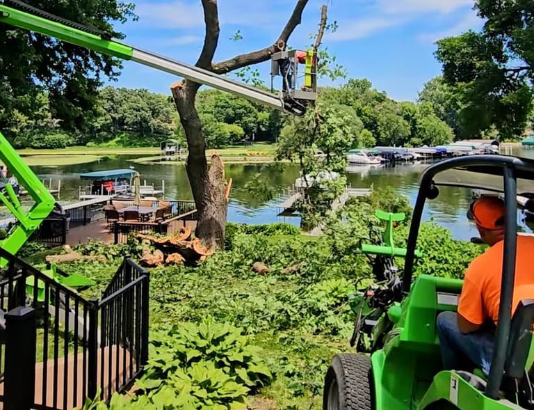 Professional arborists using a bucket lift on Lake Minnetonka.