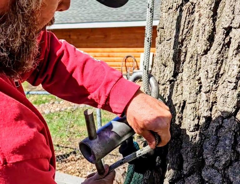 A professional arborist secures a climbing rope in Waconia, MN.
