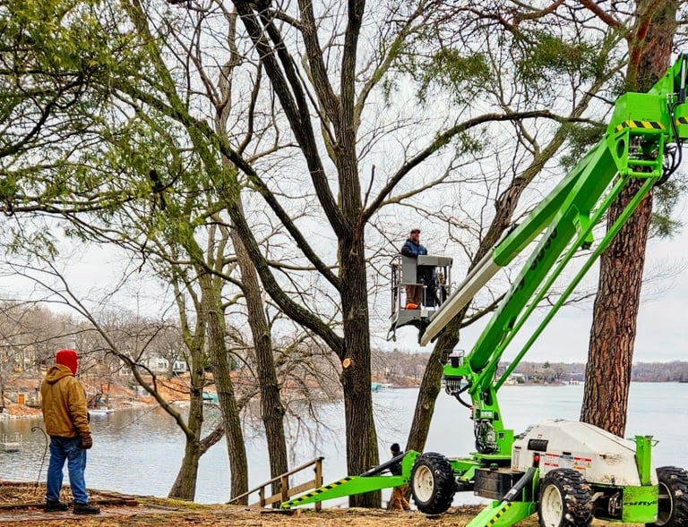 Professional arborists using a green Niftylift on Lake Minnetonka.