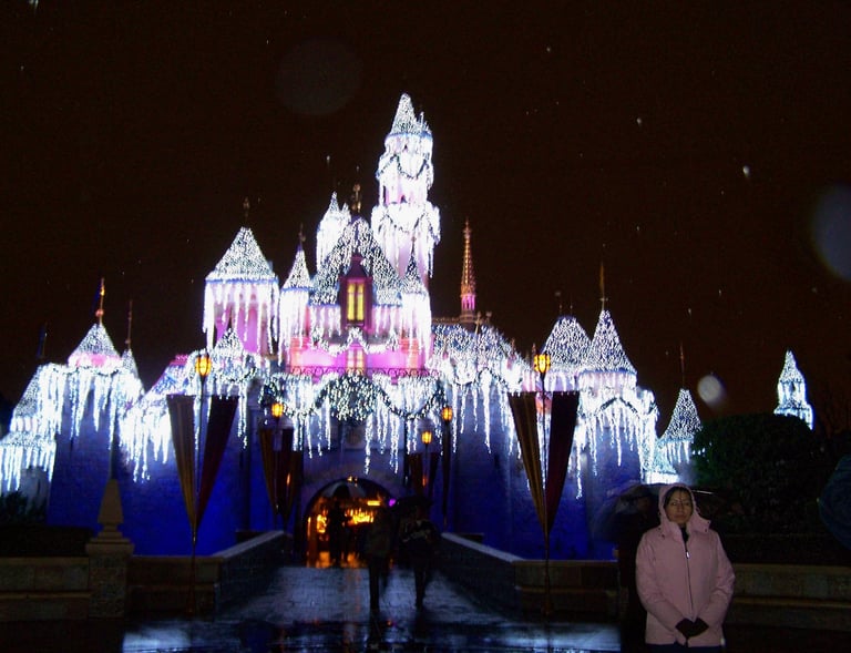 Disney Castle with winter decorations