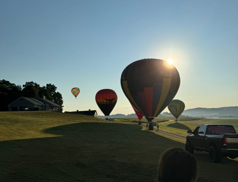hot air balloons landing in a field after a ride