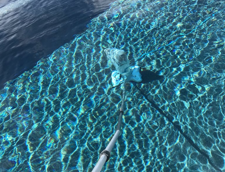 78231 Shavano Park Texas swimming pool cleaning service