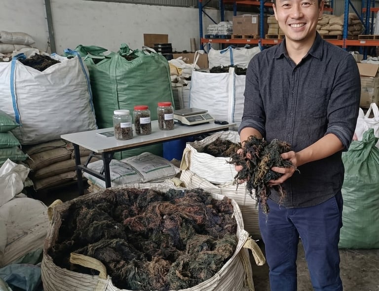 Dried Gracilaria seaweed 15% moisture and 3% impurity for agar-agar, Agriculture and Cosmetics