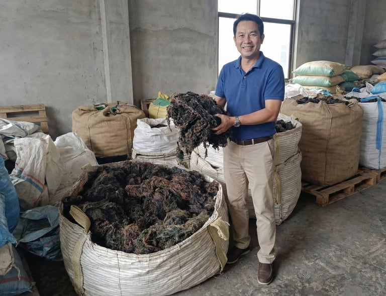 Dried Gracilaria seaweed 15% moisture and 3% impurity for agar-agar, Agriculture and Cosmetics