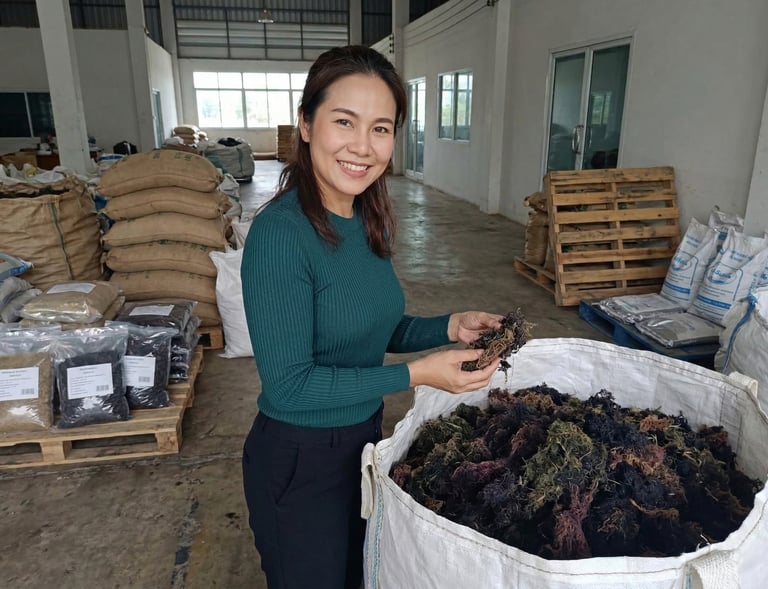 A smiling woman holding dried seaweed at a wholesale production warehouse facility.